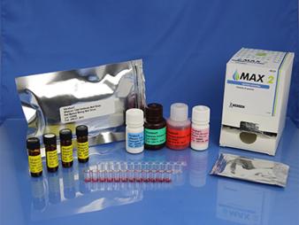 Reveal® 3-DHazelnut Test (902087E)